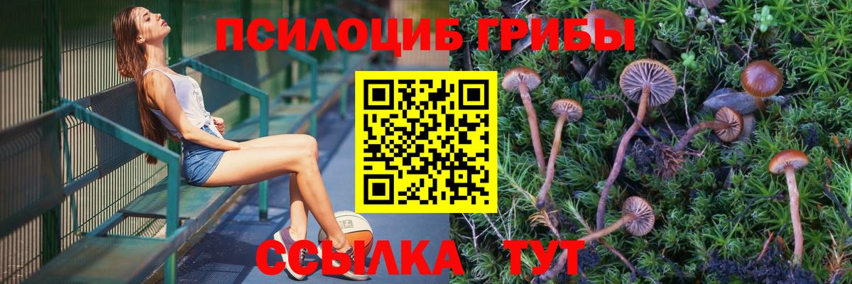 Галлюциногенные грибы Magic Shrooms  Вход с VPN  Кудрово  Галлюциногенные грибы GOLDEN TEACHER 