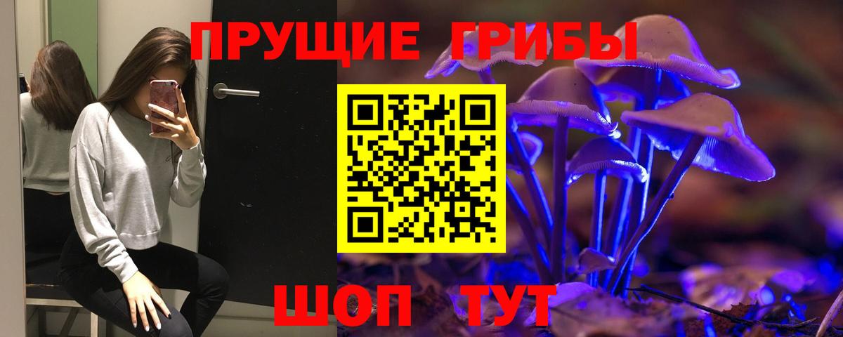 Псилоцибиновые грибы мухоморы Кудрово